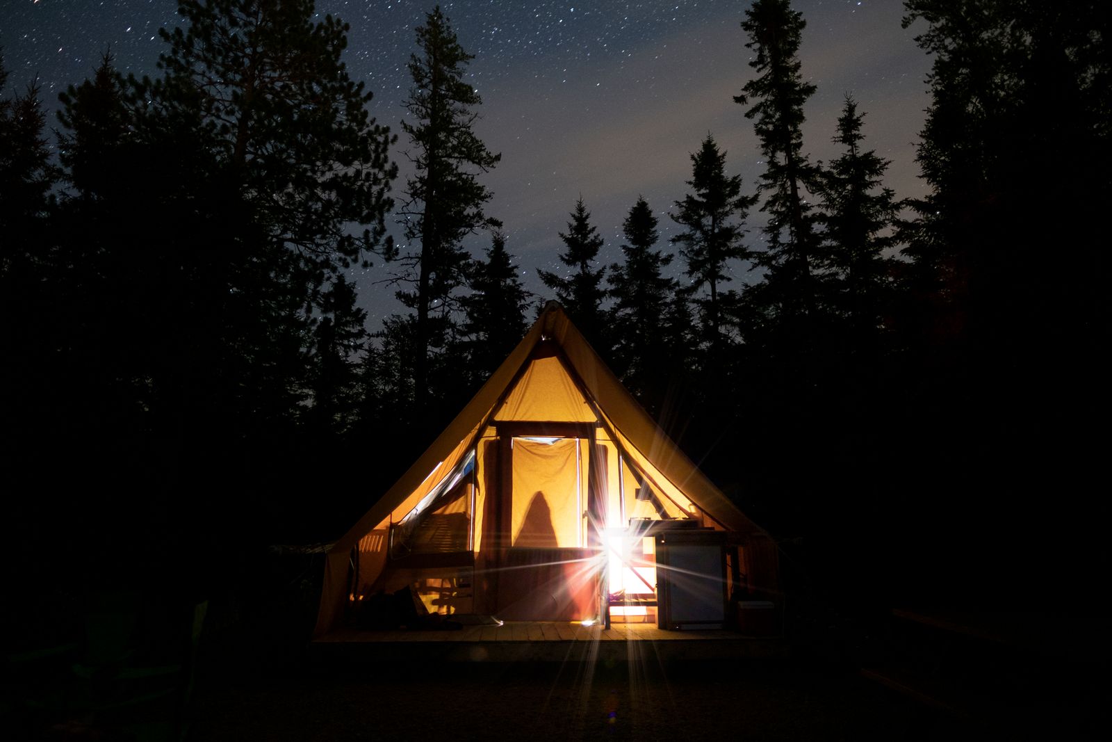 A glamping tent glowing under a starry sky in a pine forest at night