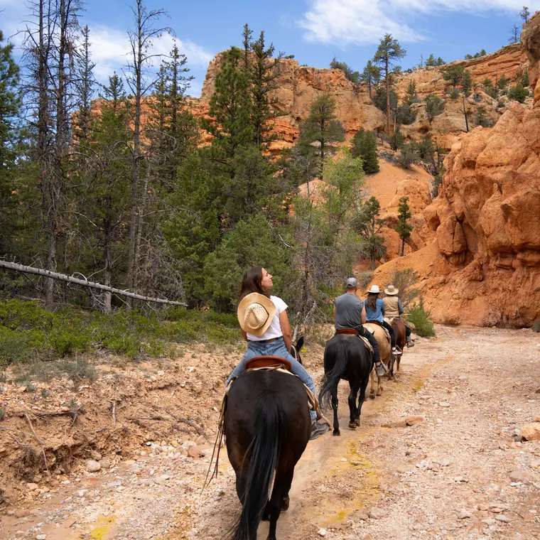 A group on a trail ride